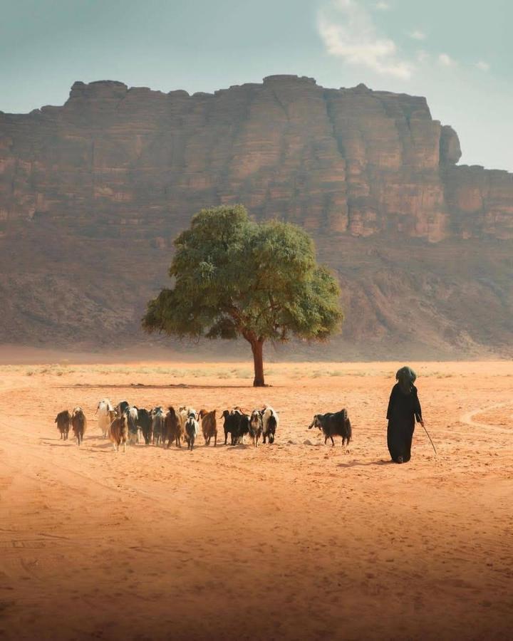 Magic Milky Way Camp Hotel Wadi Rum Exterior photo