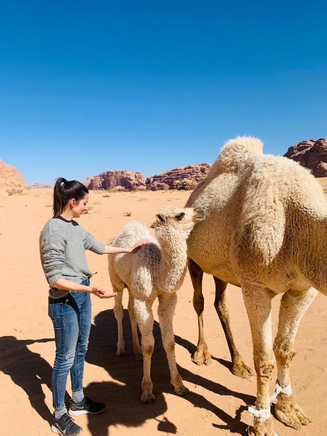 Magic Milky Way Camp Hotel Wadi Rum Exterior photo